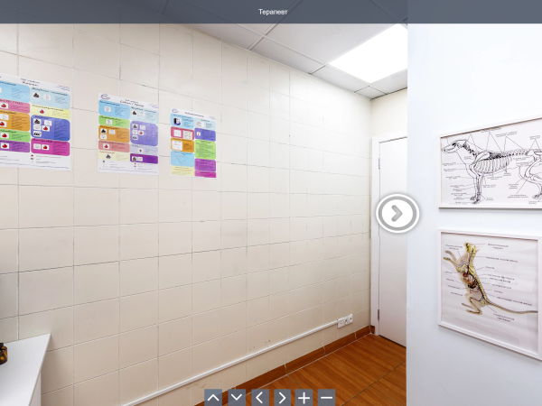 Ветеринарная клиника 